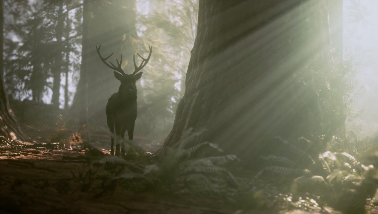 AND YOU, WHAT HAVE YOU LEARNT?