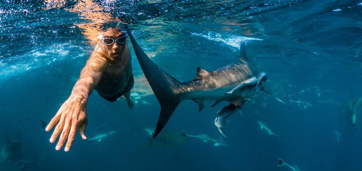 Oceans.club: Pablo Fernández