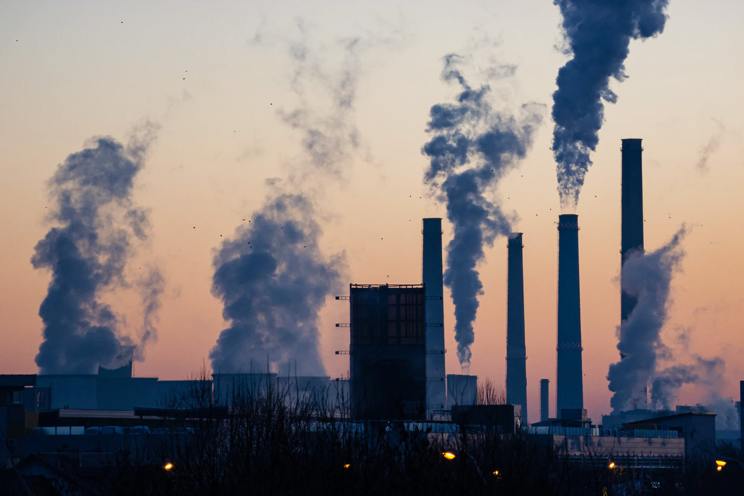 World Environment Day. The time of the planet has come