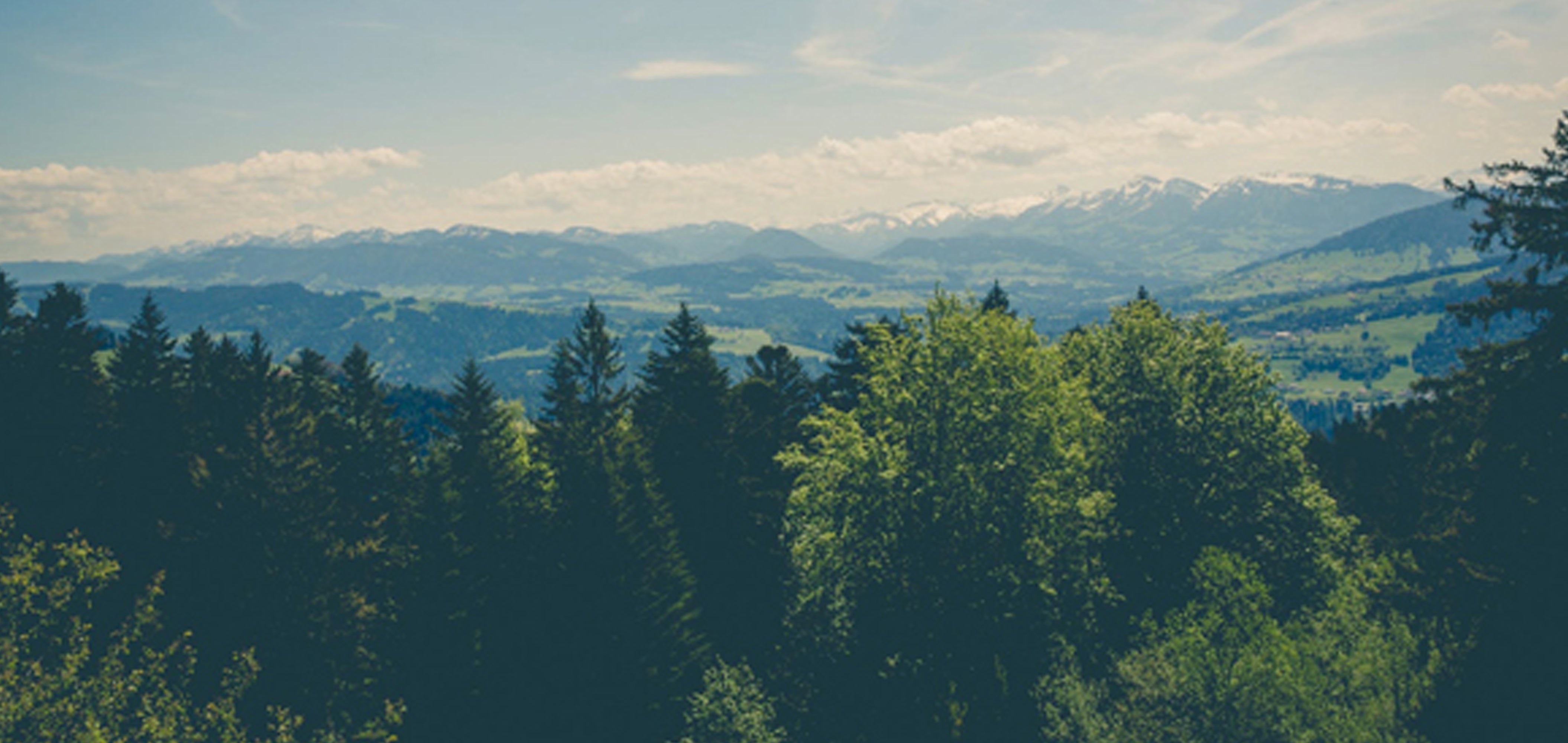 Get involved: Closca community