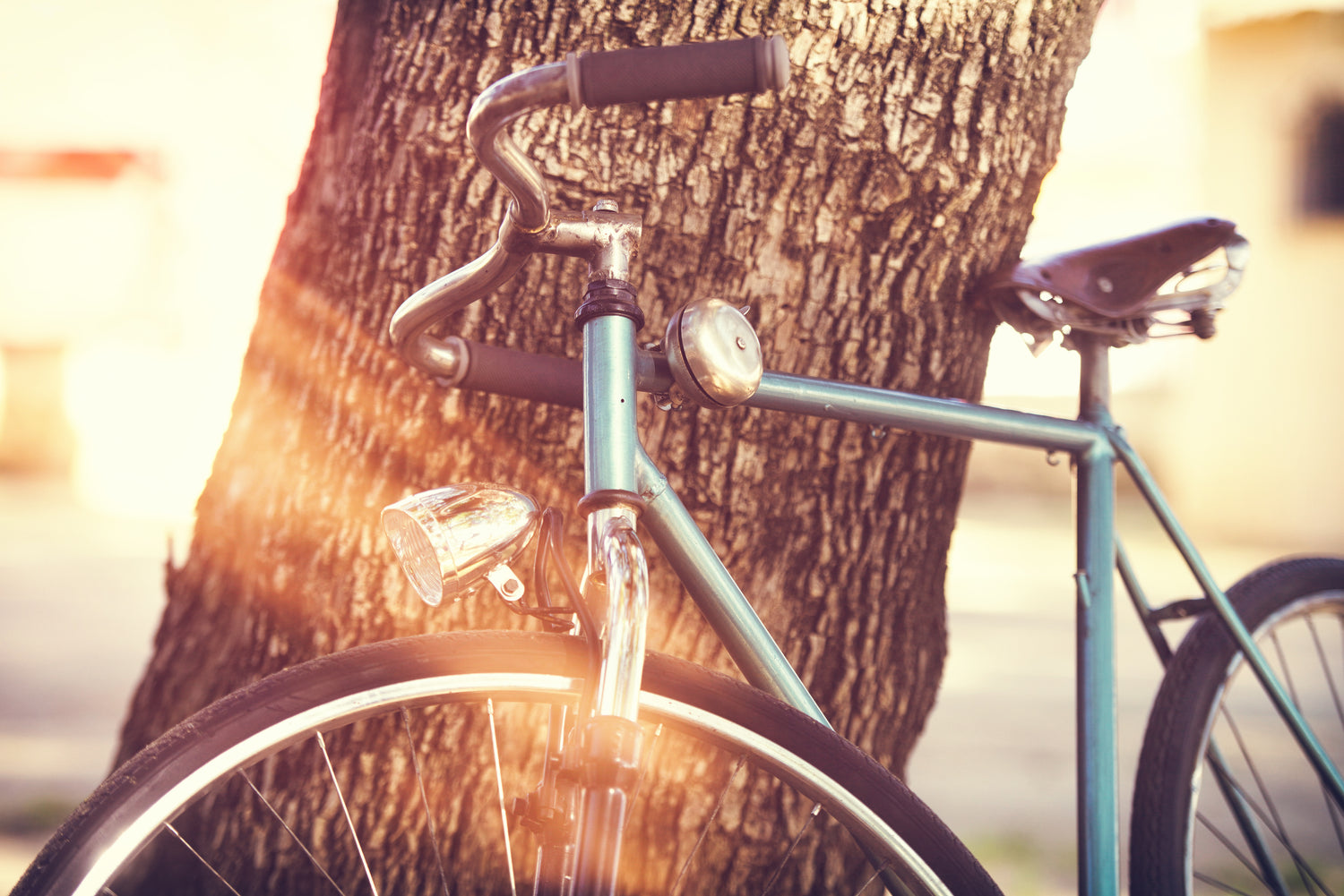 Urban commuter bikes