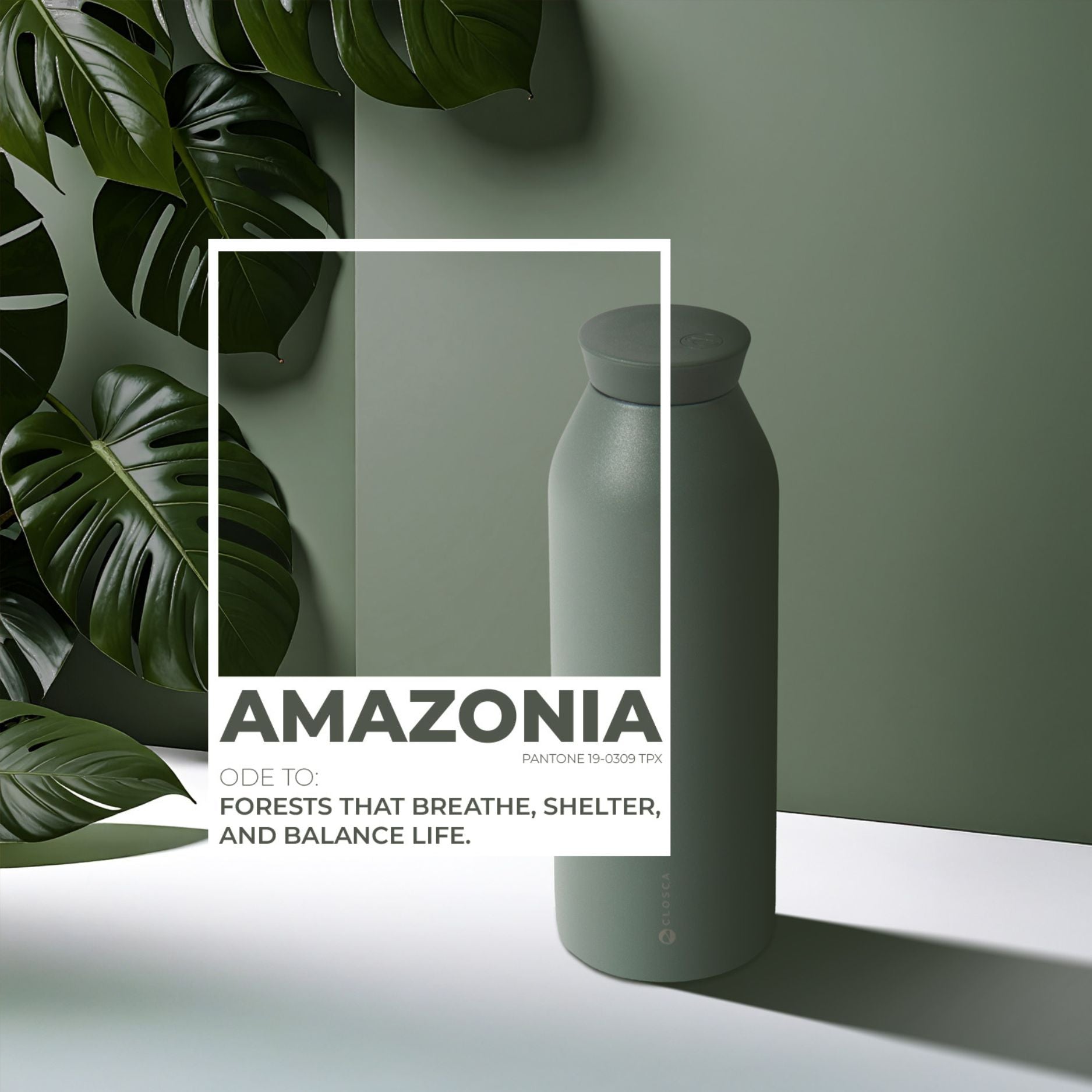 Minimal Amazonia