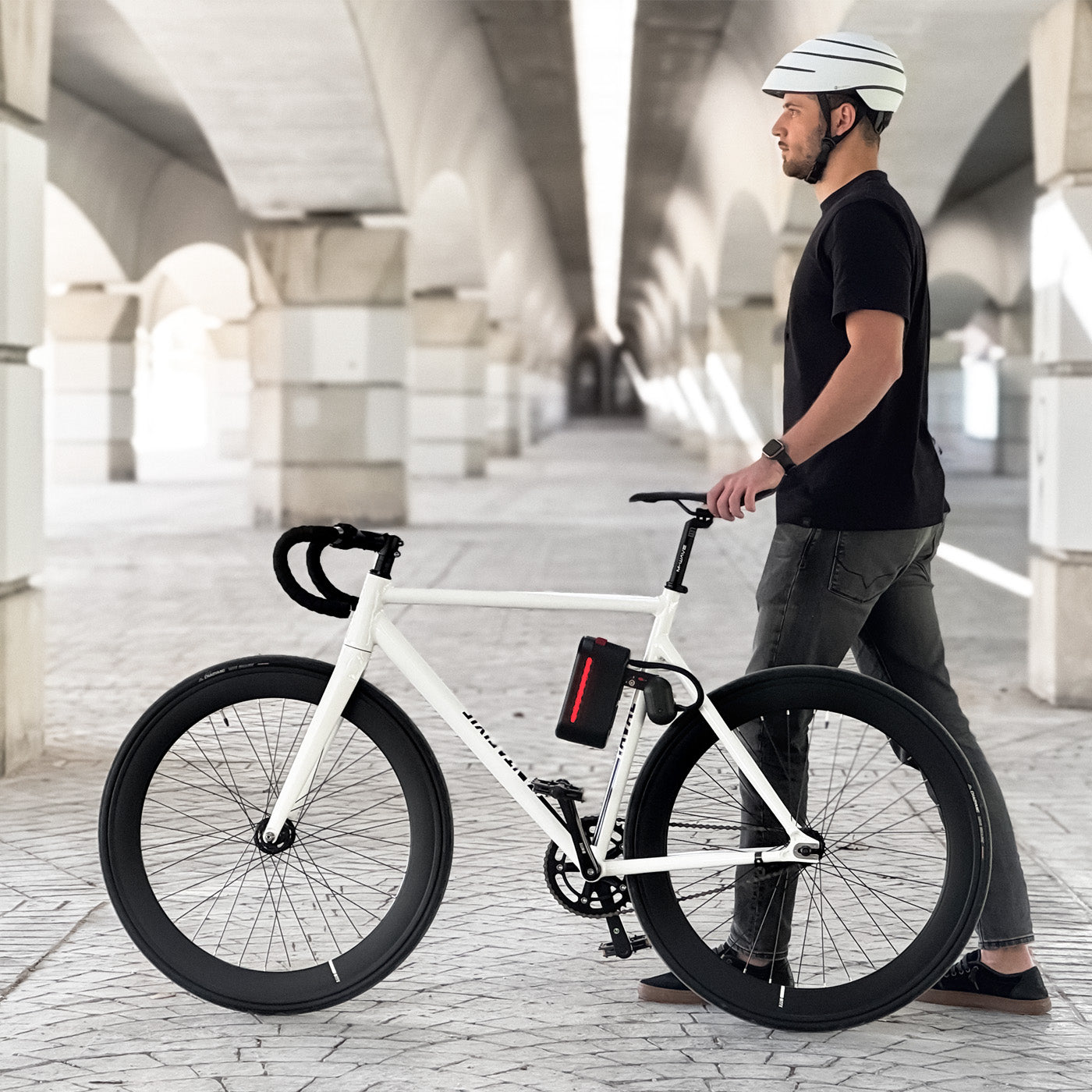 Spiny. Electric Bicycle Conversion Kit